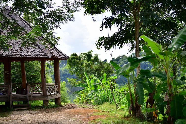 Elephant sanctuary in Laos