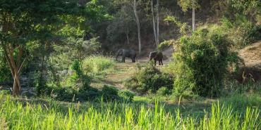 Climate and Geography