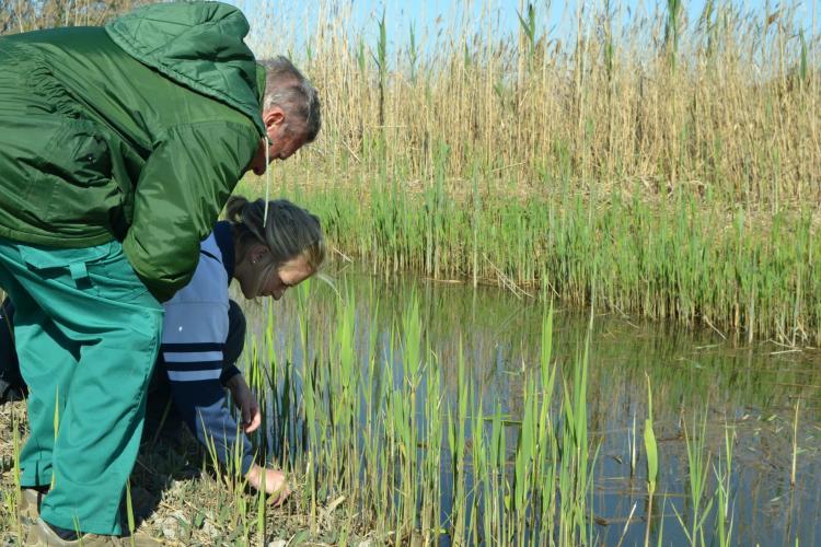Conservation volunteers planting grass in Valencia