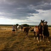 Equine Experience, Namibia
