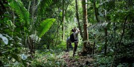 exploring the jungle