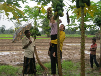 Family elephant volunteer programme in Sri Lanka