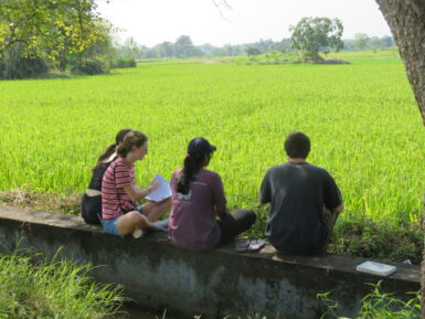 Family elephant volunteer programme in Sri Lanka