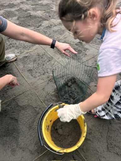 Family volunteering with sea turtles and wildlife in Costa Rica