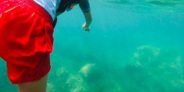 Volunteer swimming in the sea with sea turtle