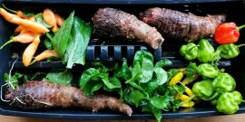 Farm produce costa rica