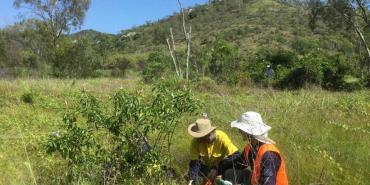 Conservation Threats