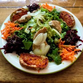 Yummy food at wildlife rescue centre for volunteers