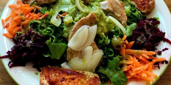 Volunteer food at Costa Rica wildlife rescue centre