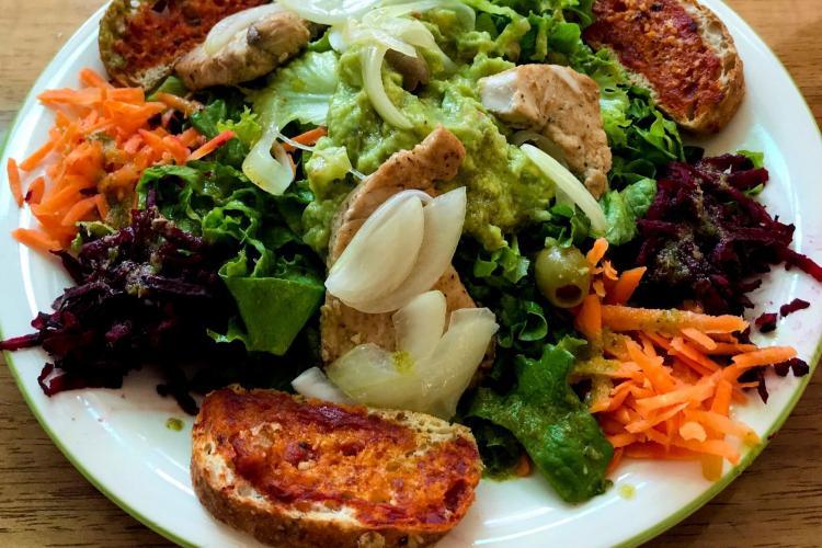 Volunteer food at Costa Rica wildlife rescue centre