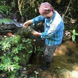 Conservation volunteer collecting data in Ecuador forest