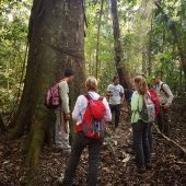 Amazon Conservation Volunteer Forest Ranger Programme, Peru