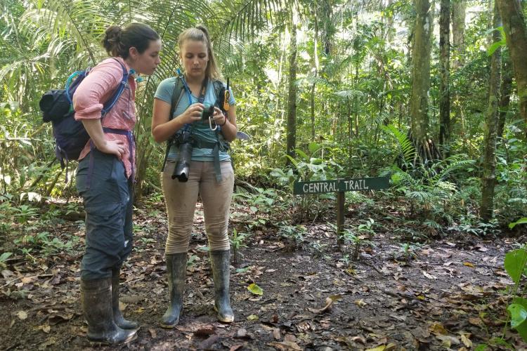 Navigating the trails