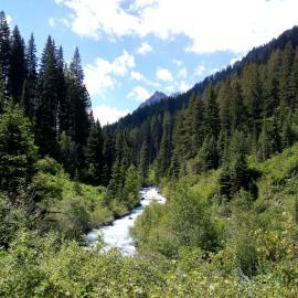 Top 8 Climate Action & Conservation Volunteering Projects Abroad for 2026