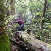 Laura McClintock, Canada