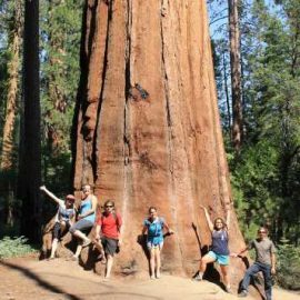 Volunteers in their free time discovering red woods in California