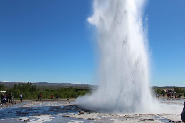 Geyser in Iceland