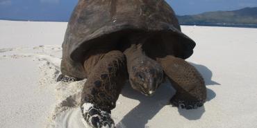 Wildlife and Biodiversity