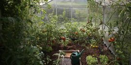 Sustainable gardening in greenhouse