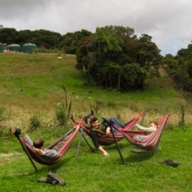 Hammock Resting Time