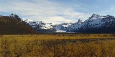 Wildlife and Biodiversity