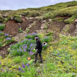 Volunteering in Iceland's national parks