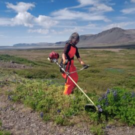 Volunteering in Iceland's national parks