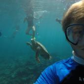 Turtle Monitoring Intern, Mauritius