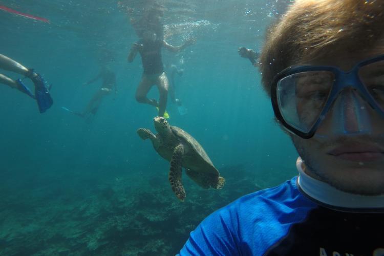 Intern Alex and volunteers with turtle swimming