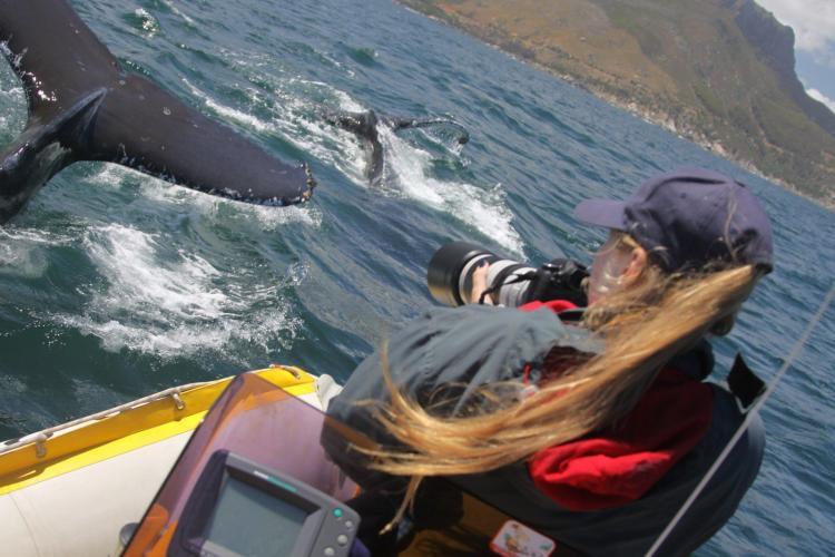 Intern with whale right next to boat