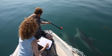 Listening to dolphin clicks in Greece