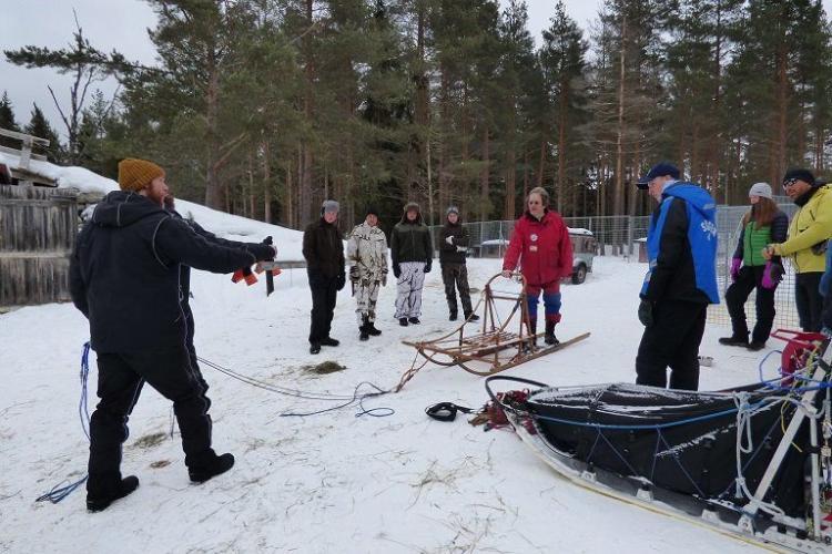 Volunteers preparing sled in slovakia