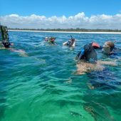 Sofia Gothlin, Sweden