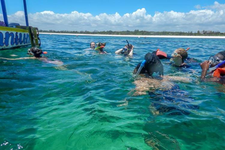 Turtle conservation volunteers snorkelling