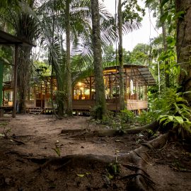rainforest accomodation