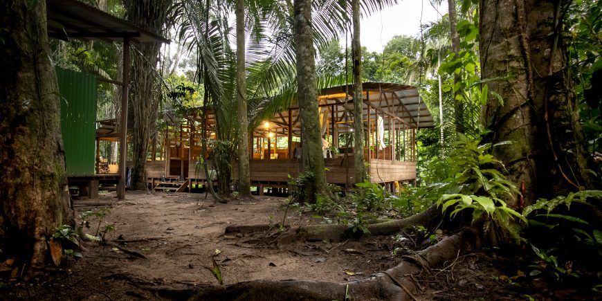 rainforest accomodation