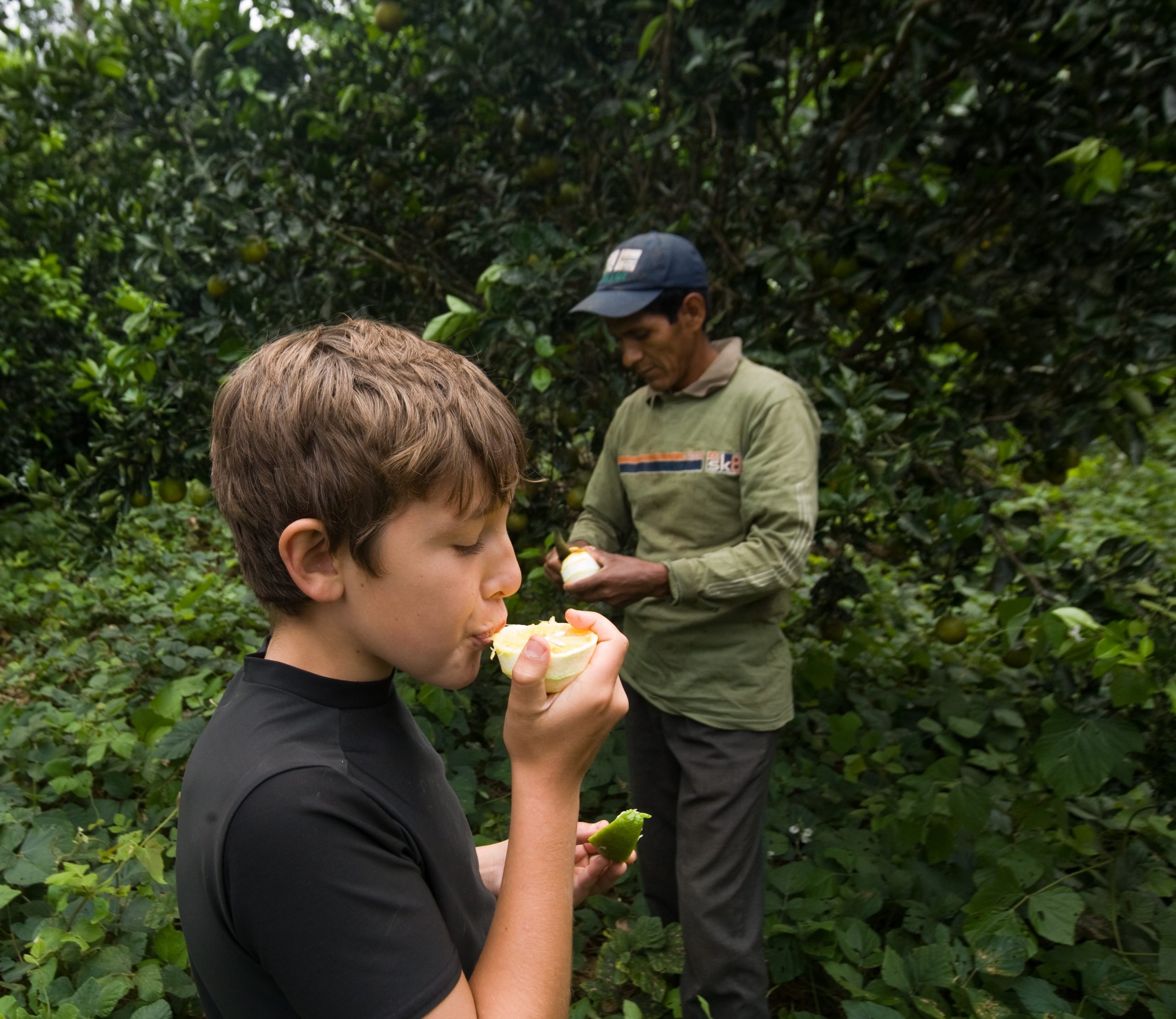 Trying local fruit Peru reforestation