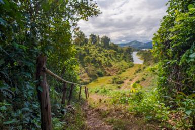 Jungle path in Laos