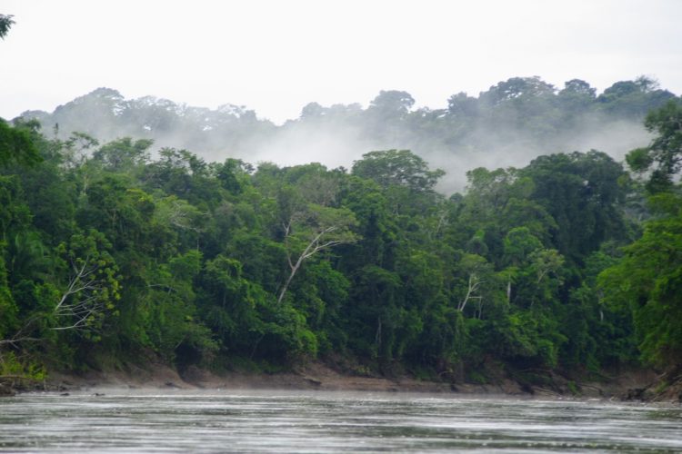 View of Amazon river and forest in Peru with mist