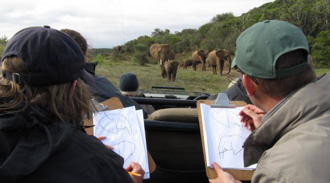 Volunteers collect data on elephant impact monitoring at Kariega