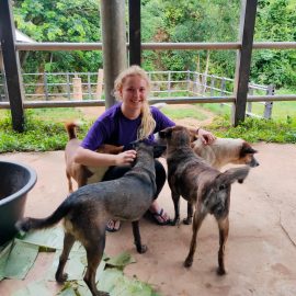 Kerry and strays Thailand