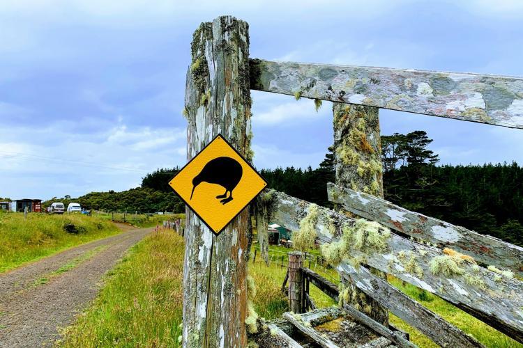 Kiwi conservation sign New Zealand