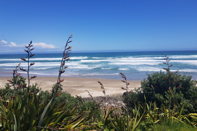 View of beach and sea on sunny day in New Zealand