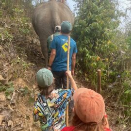 Family volunteering with elephants in Laos