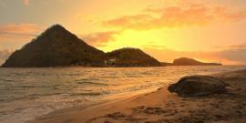 Leatherback at sunset in Grenada