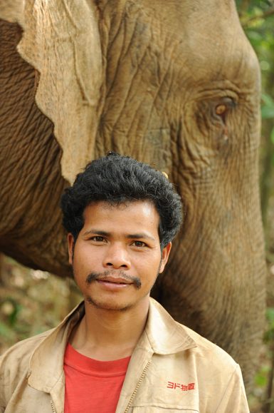 Local mahout looking after elephant