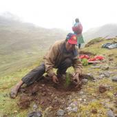 Environmental Community Conservation Volunteer Project, Peru