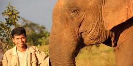 Mahout with elephant