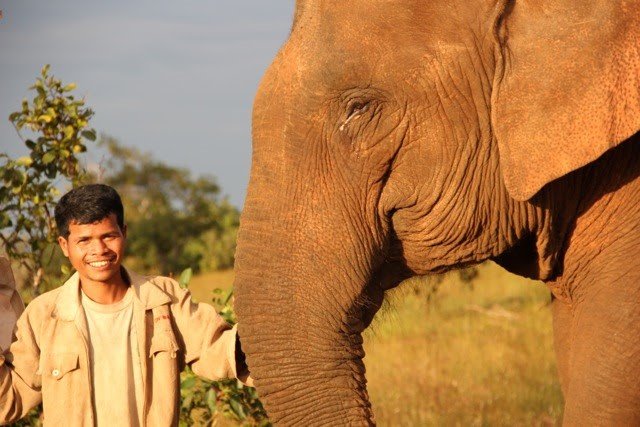 Mahout with elephant