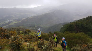 Volunteers on a hillside with a misty view of mountains in the background